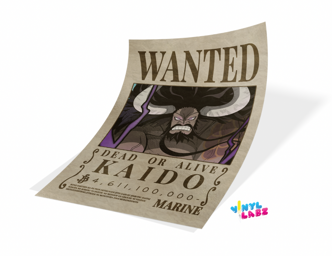 Kaido - Wanted Poster